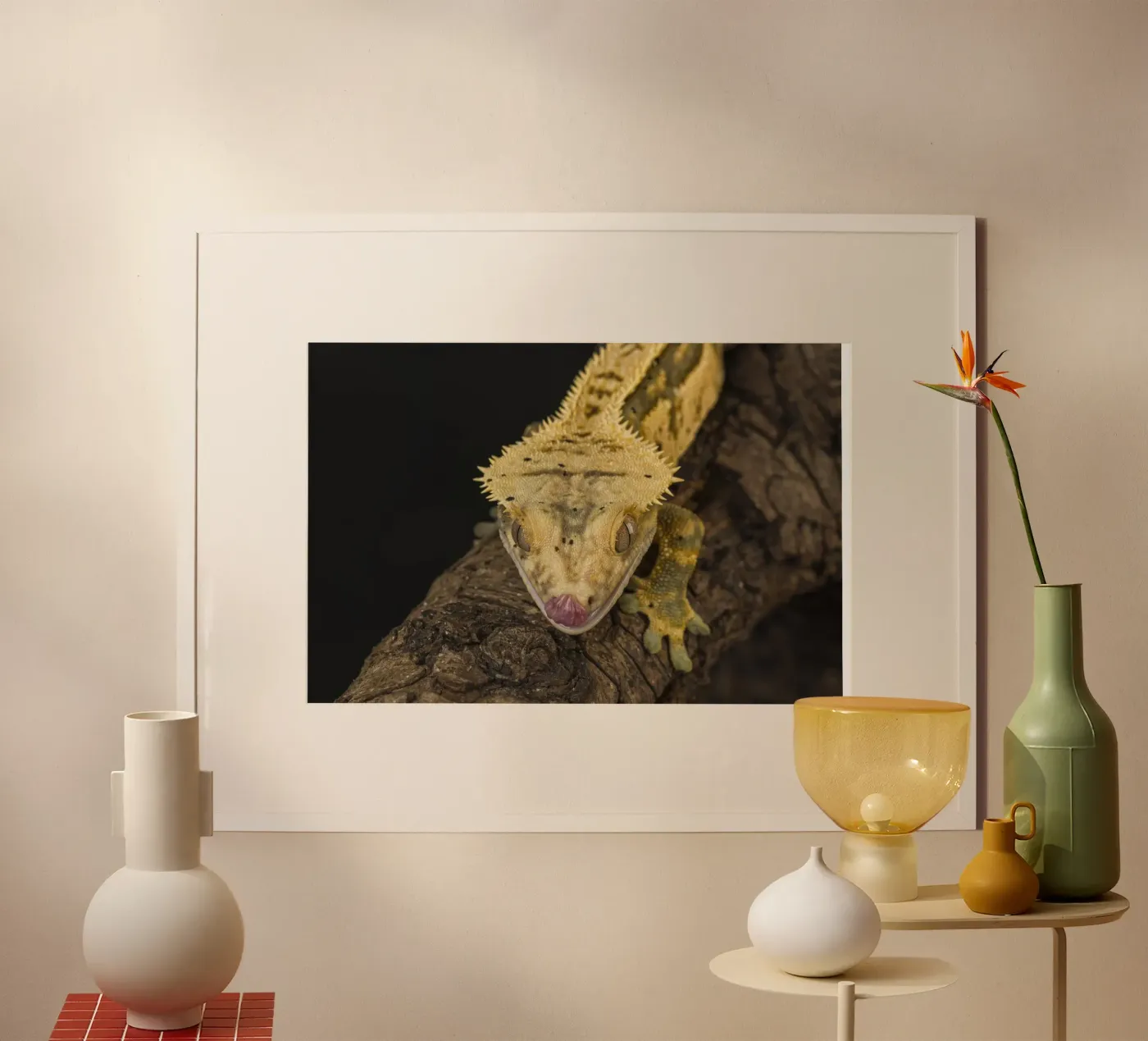 Gecko à crête poster de Curious Collections by Marielle Leenders