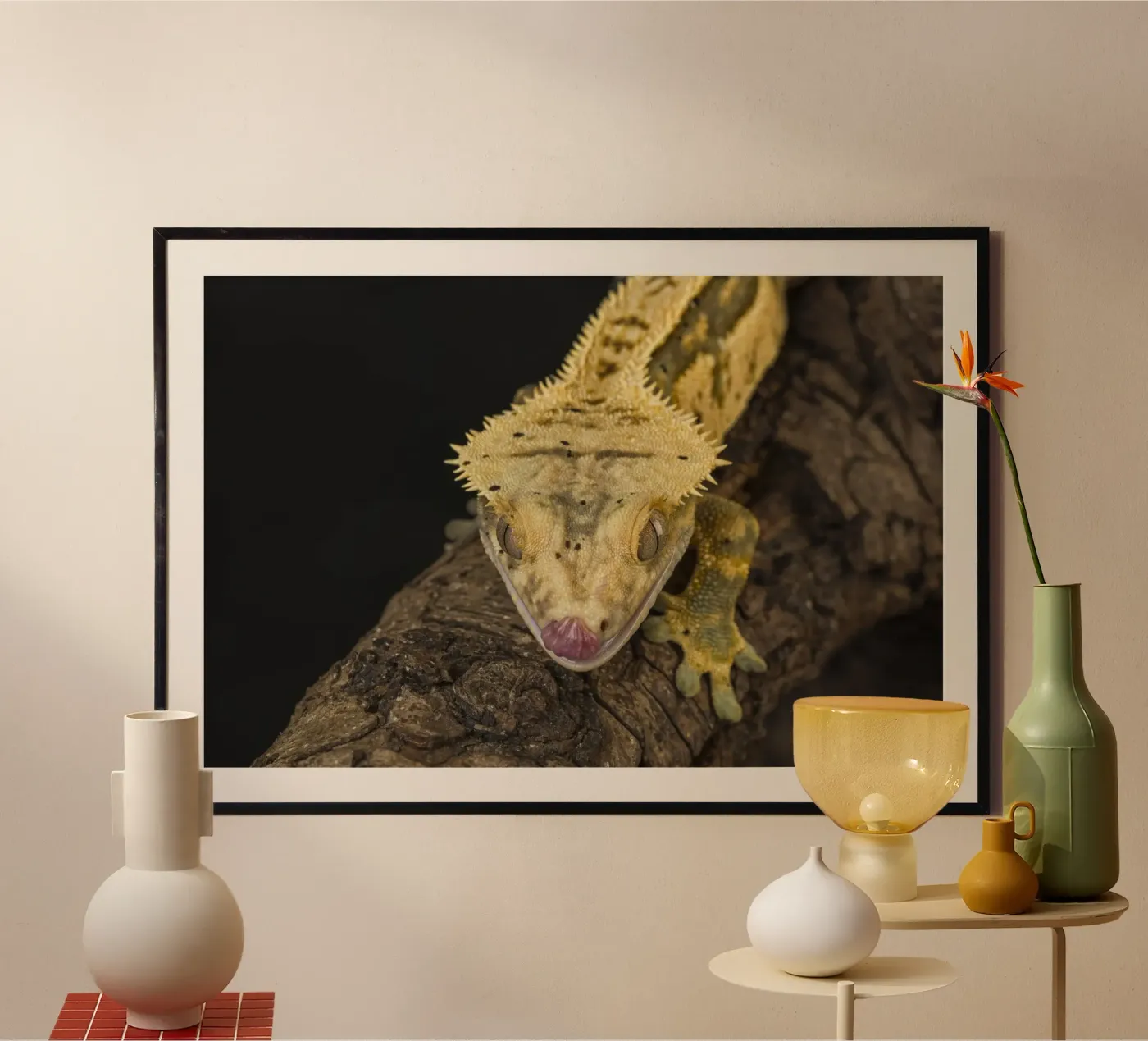 Gecko à crête poster de Curious Collections by Marielle Leenders