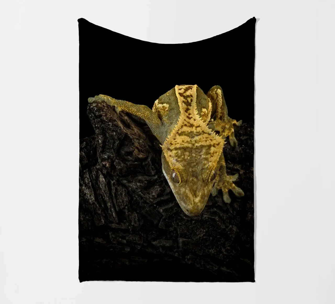 Geco crestato coperta in pile da Curious Collections by Marielle Leenders