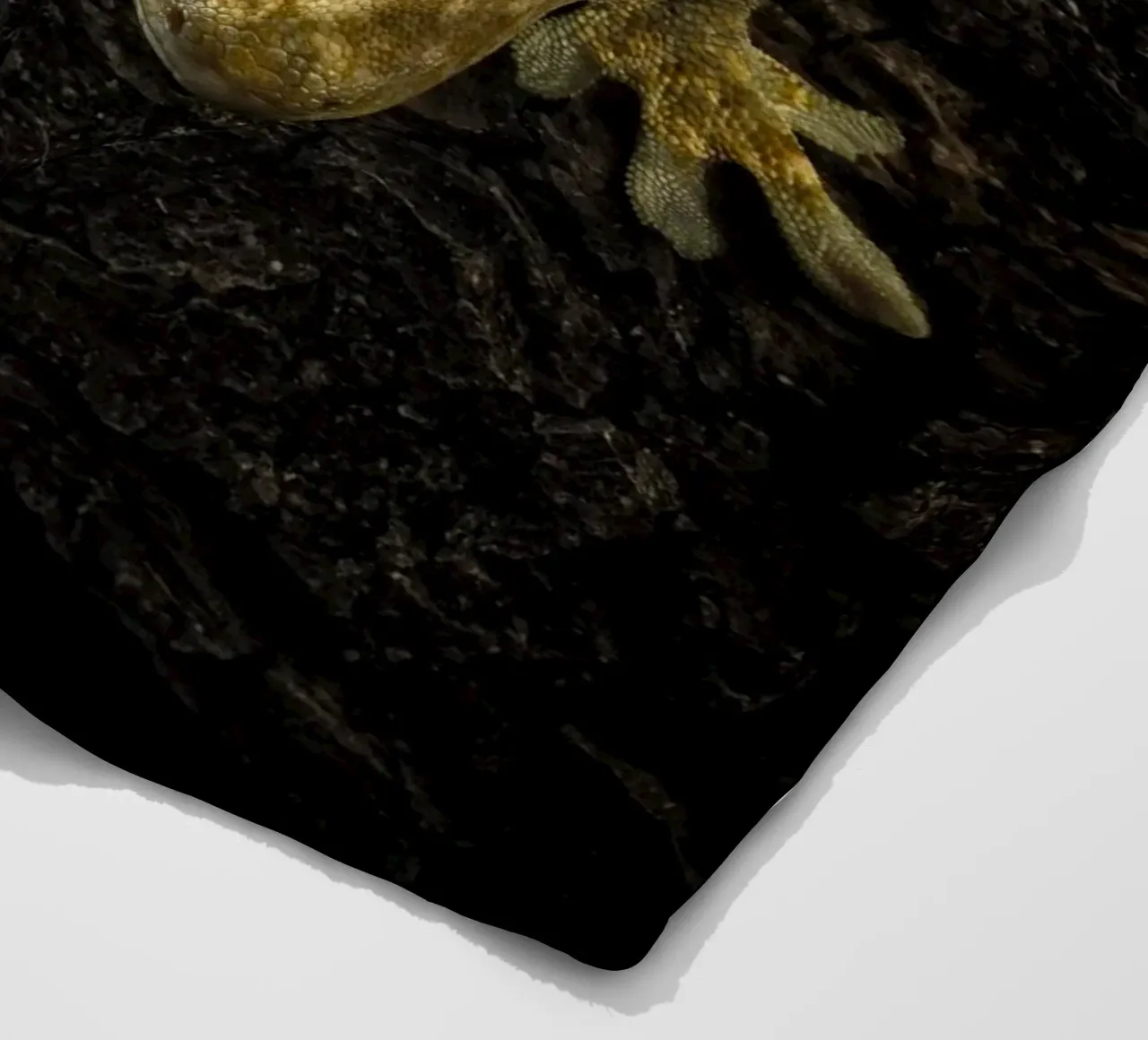 Geco crestato coperta in pile da Curious Collections by Marielle Leenders