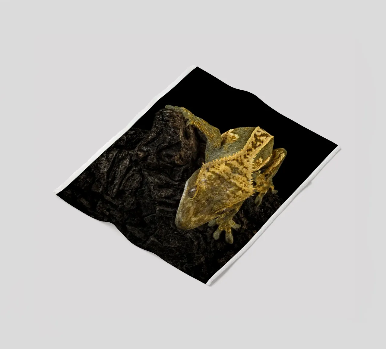 Geco crestato coperta in pile da Curious Collections by Marielle Leenders