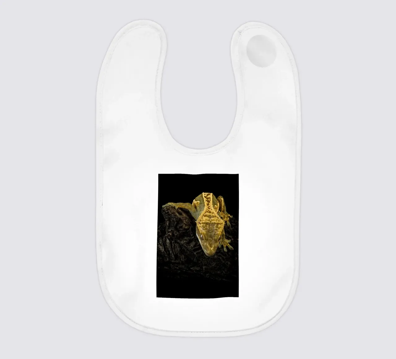 Geco crestato bavaglino da Curious Collections by Marielle Leenders
