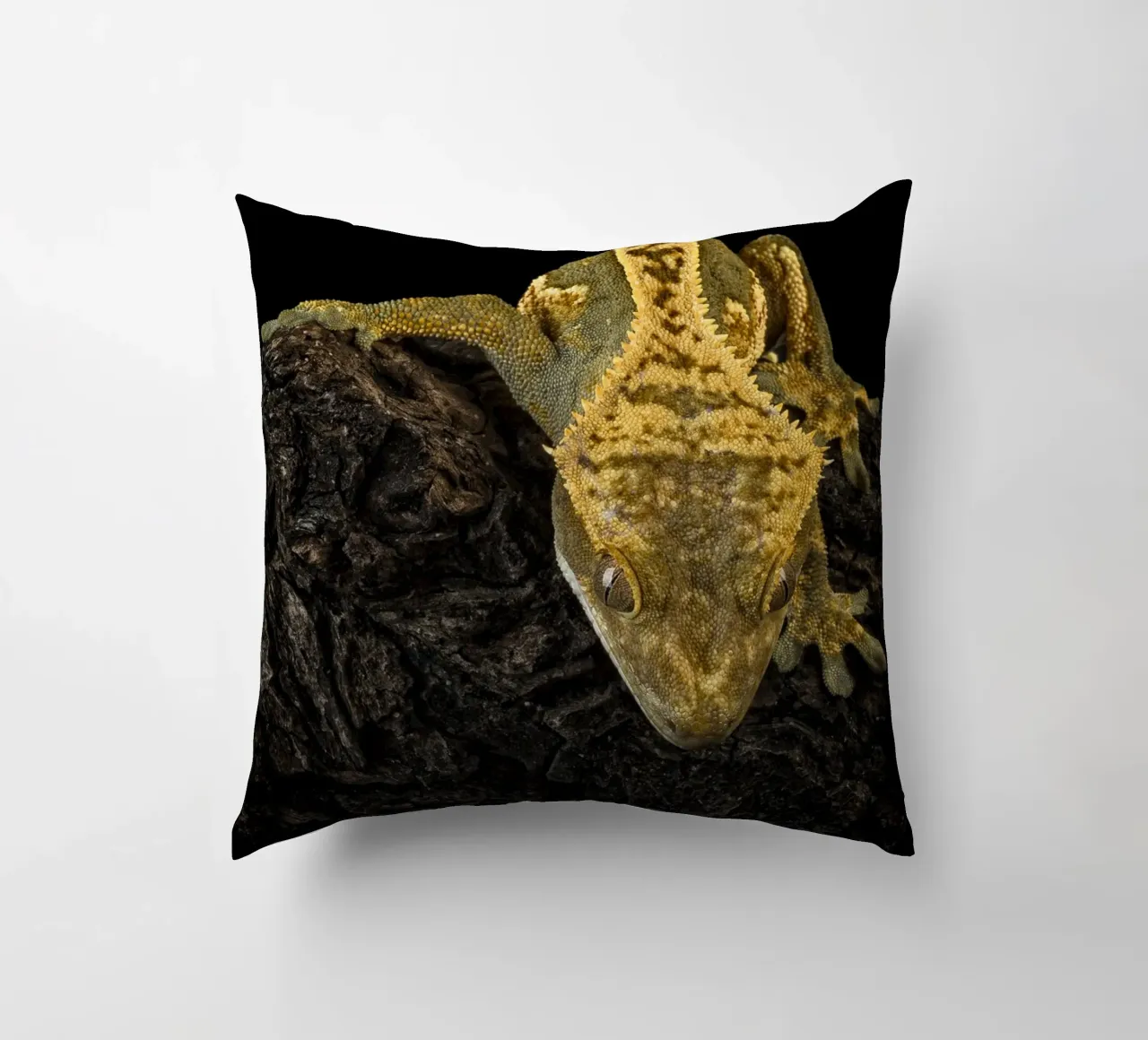 Geco crestato cuscino da Curious Collections by Marielle Leenders