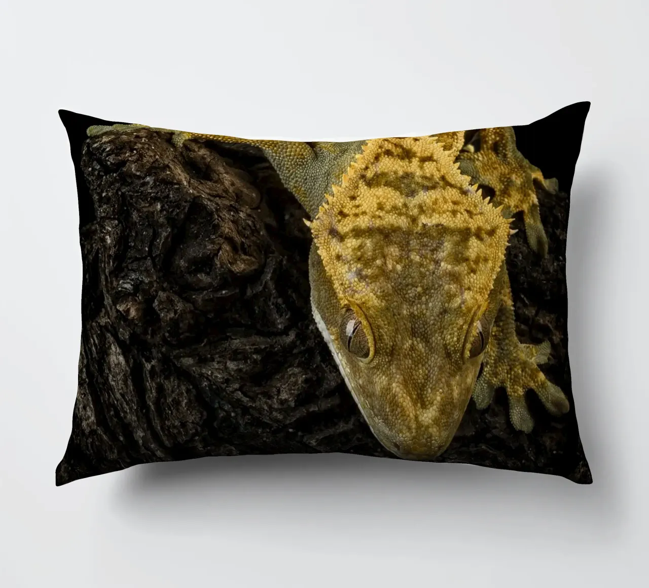 Geco crestato cuscino da Curious Collections by Marielle Leenders