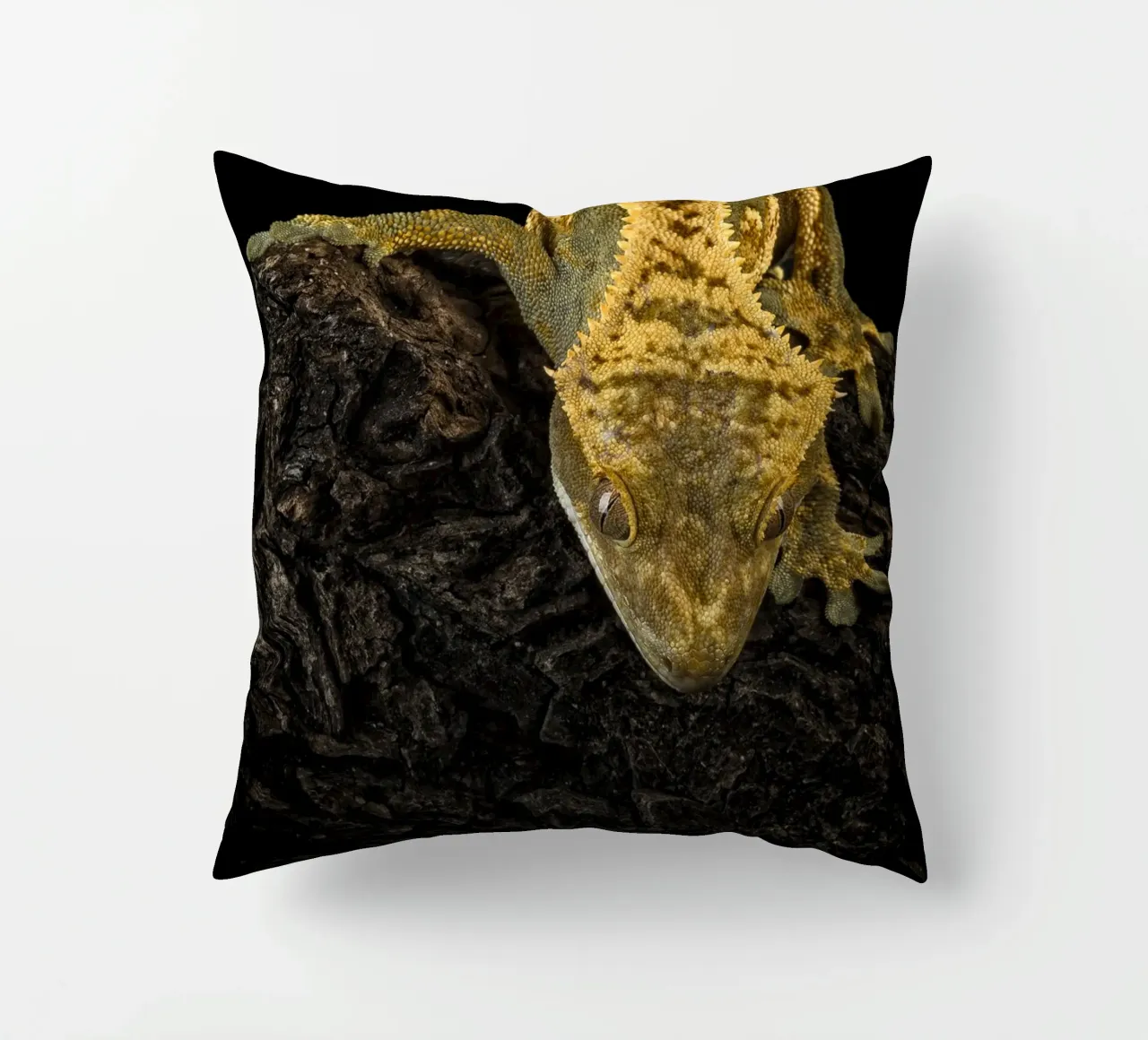 Geco crestato cuscino da Curious Collections by Marielle Leenders