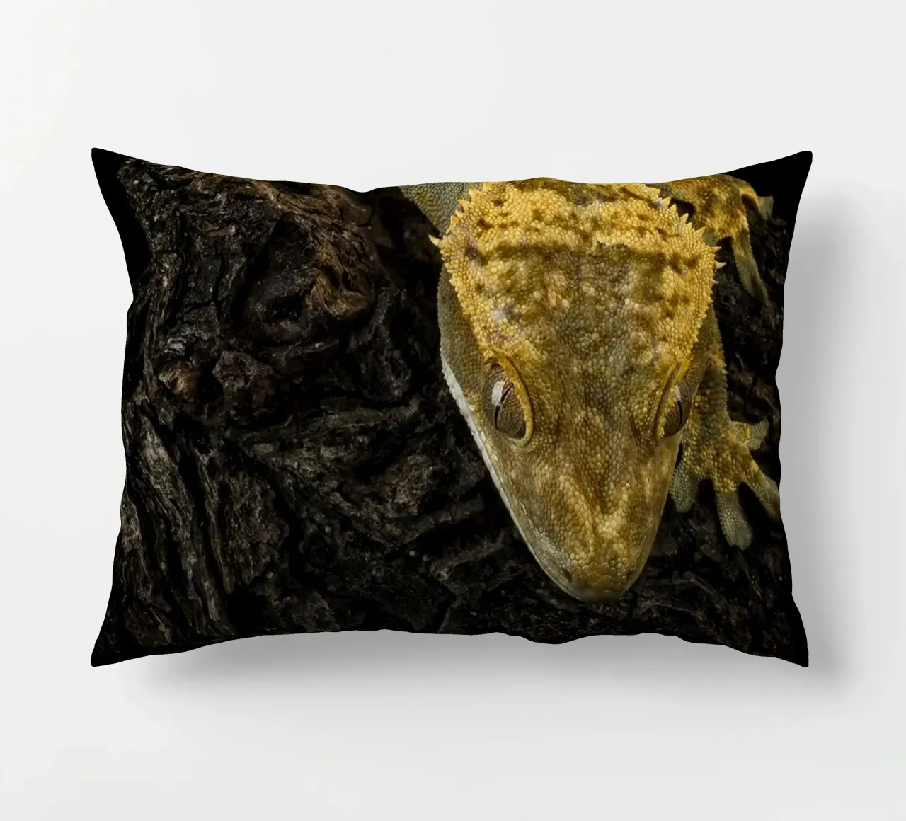 Geco crestato cuscino da Curious Collections by Marielle Leenders