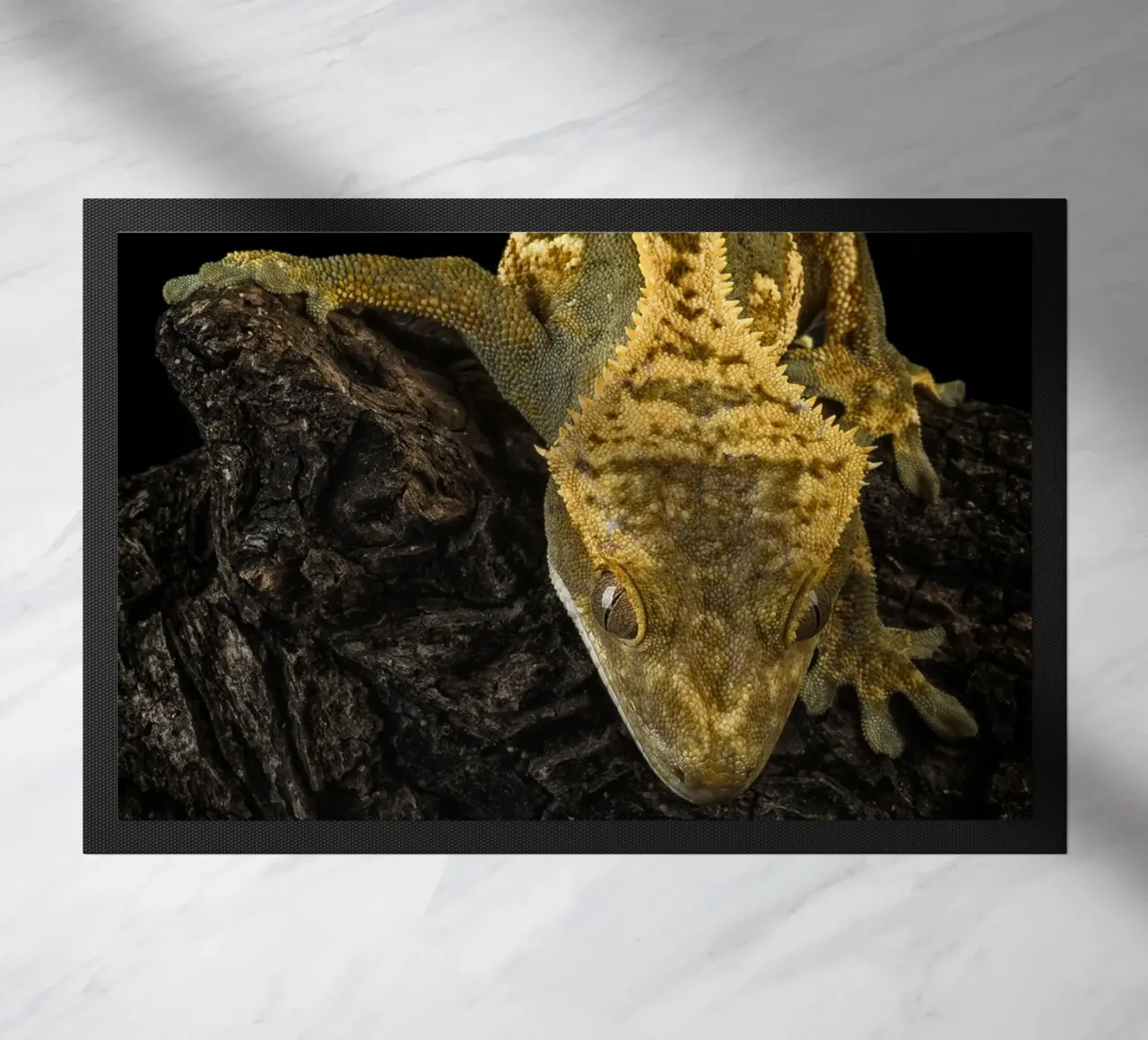 Geco crestato zerbino da Curious Collections by Marielle Leenders