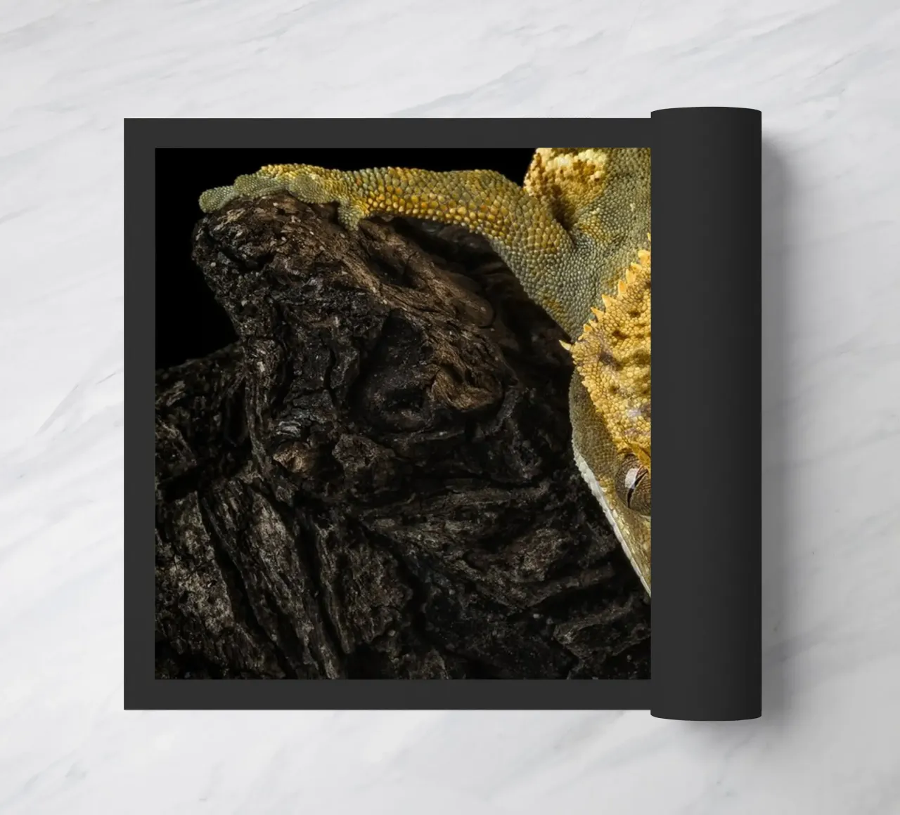 Geco crestato zerbino da Curious Collections by Marielle Leenders