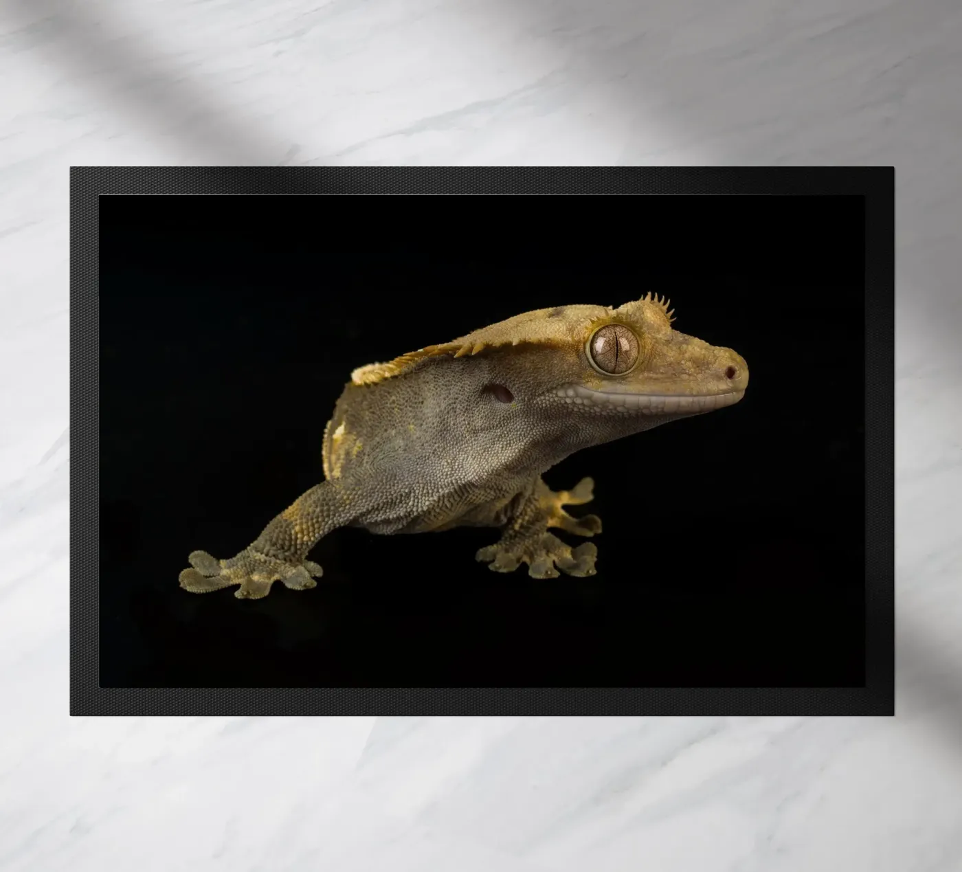 Crested Gecko doormat by Curious Collections by Marielle Leenders