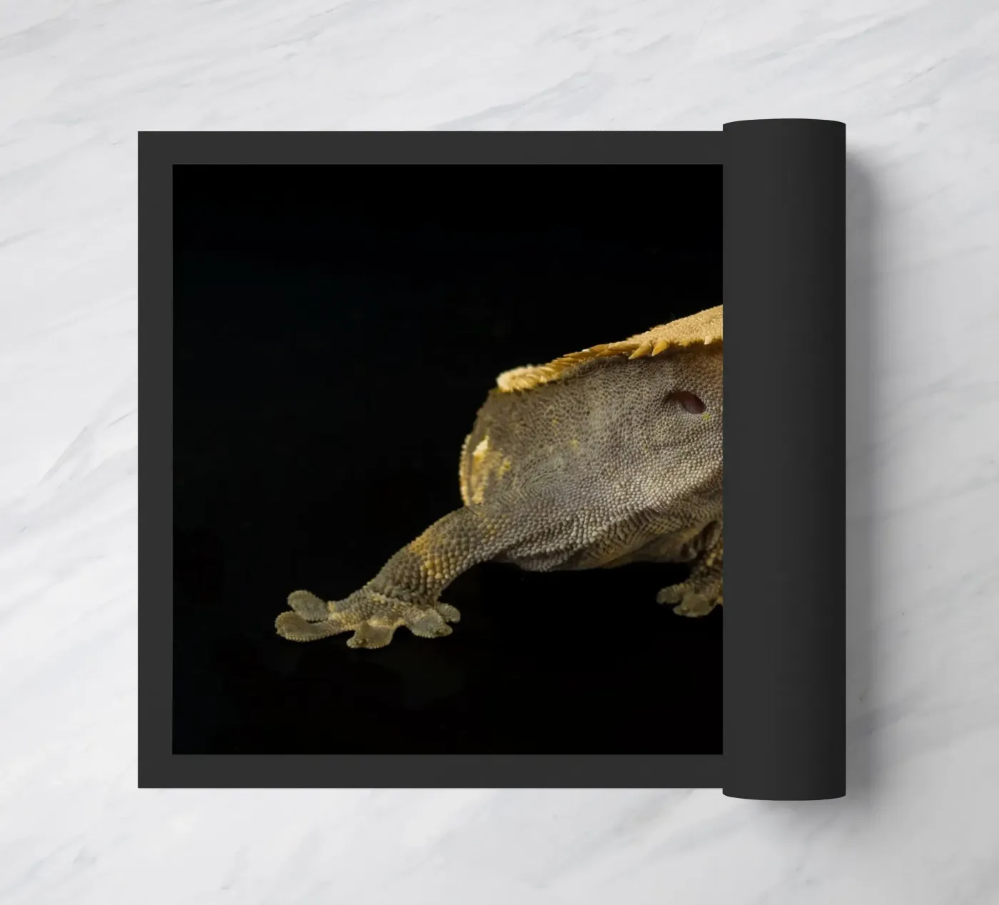 Crested Gecko doormat by Curious Collections by Marielle Leenders