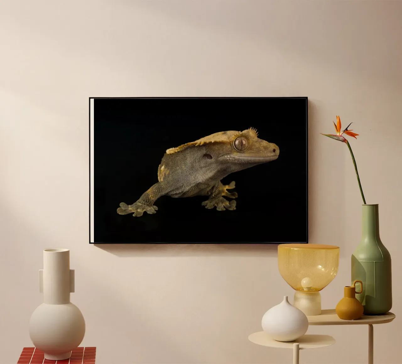 Geco crestato plexiglass da Curious Collections by Marielle Leenders