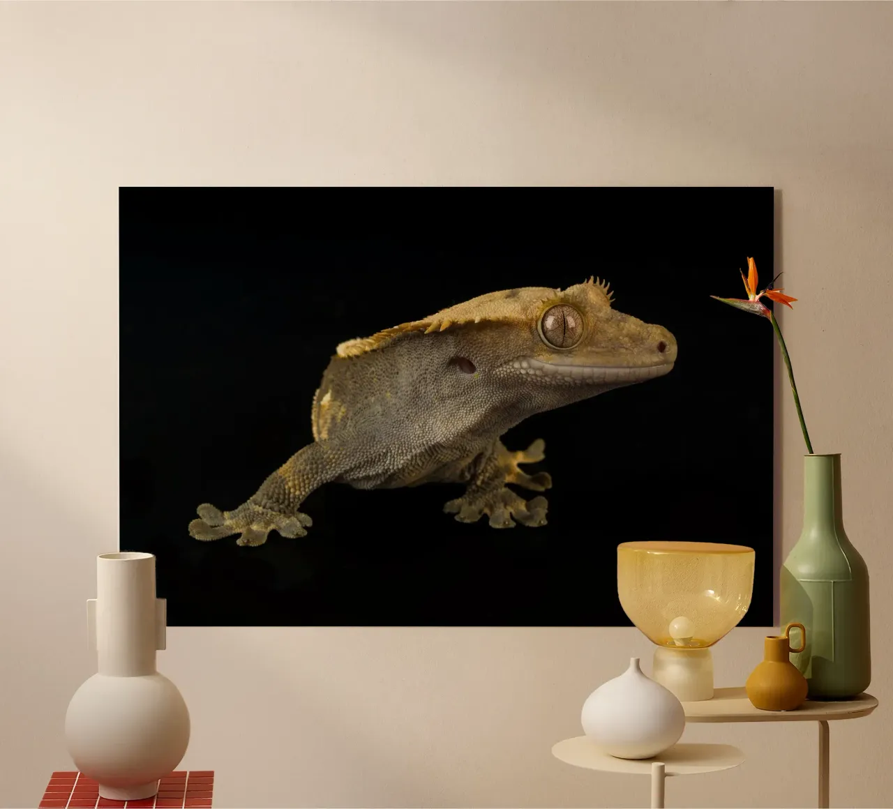 Geco crestato plexiglass da Curious Collections by Marielle Leenders