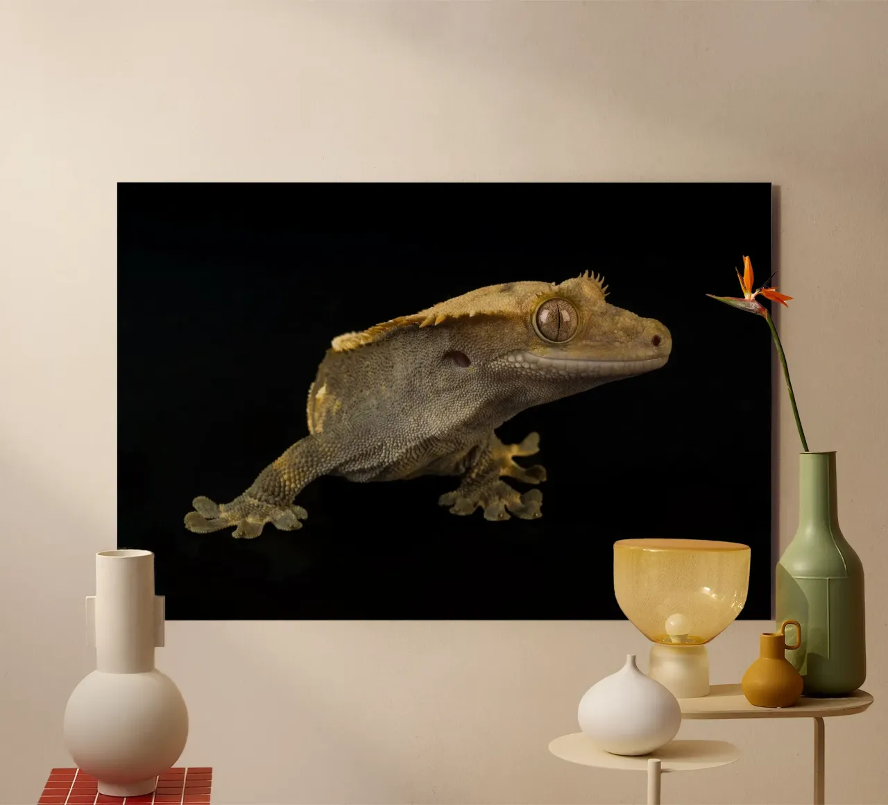 Geco crestato alluminio dibond da Curious Collections by Marielle Leenders