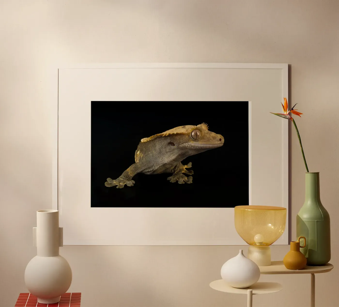 Geco crestato poster da Curious Collections by Marielle Leenders