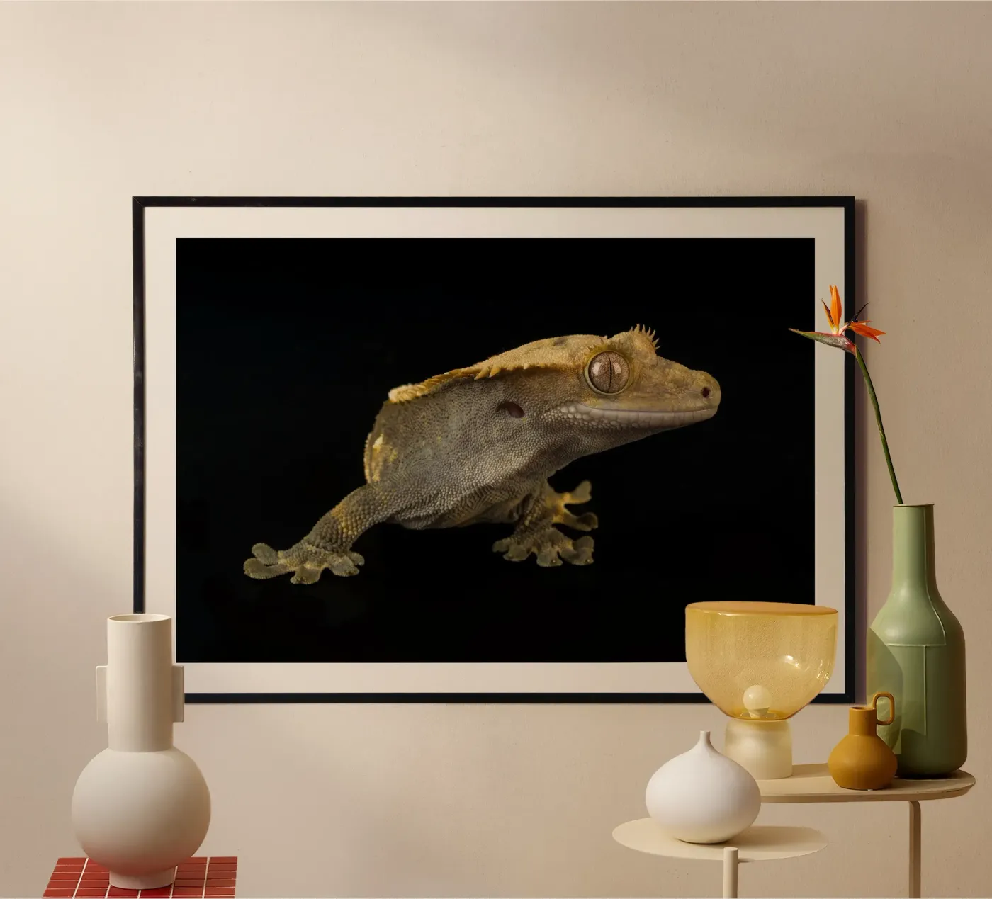 Geco crestato poster da Curious Collections by Marielle Leenders