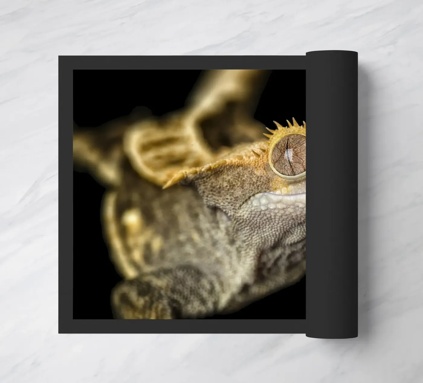 Crested Gecko doormat by Curious Collections by Marielle Leenders