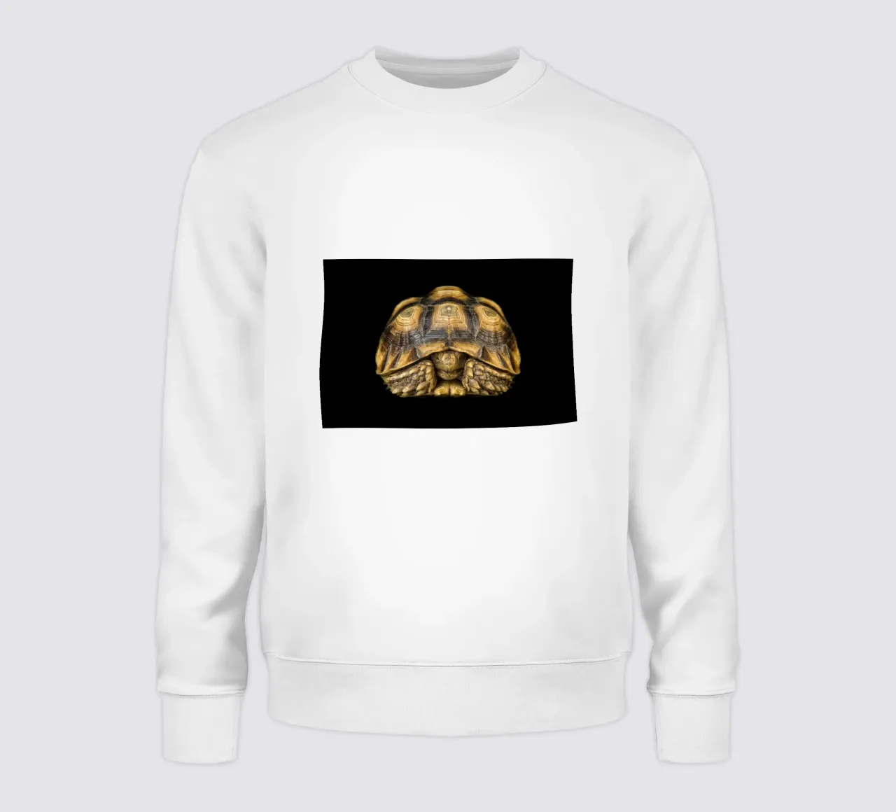 Tartaruga di terra felpa da Curious Collections by Marielle Leenders