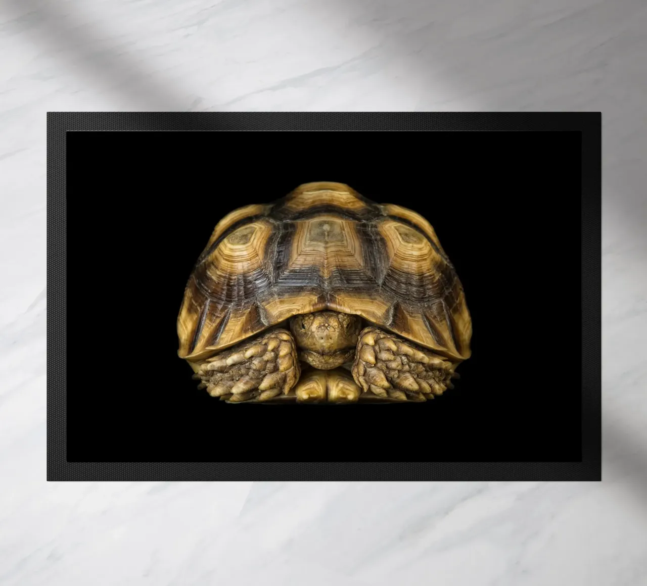 Tartaruga di terra zerbino da Curious Collections by Marielle Leenders