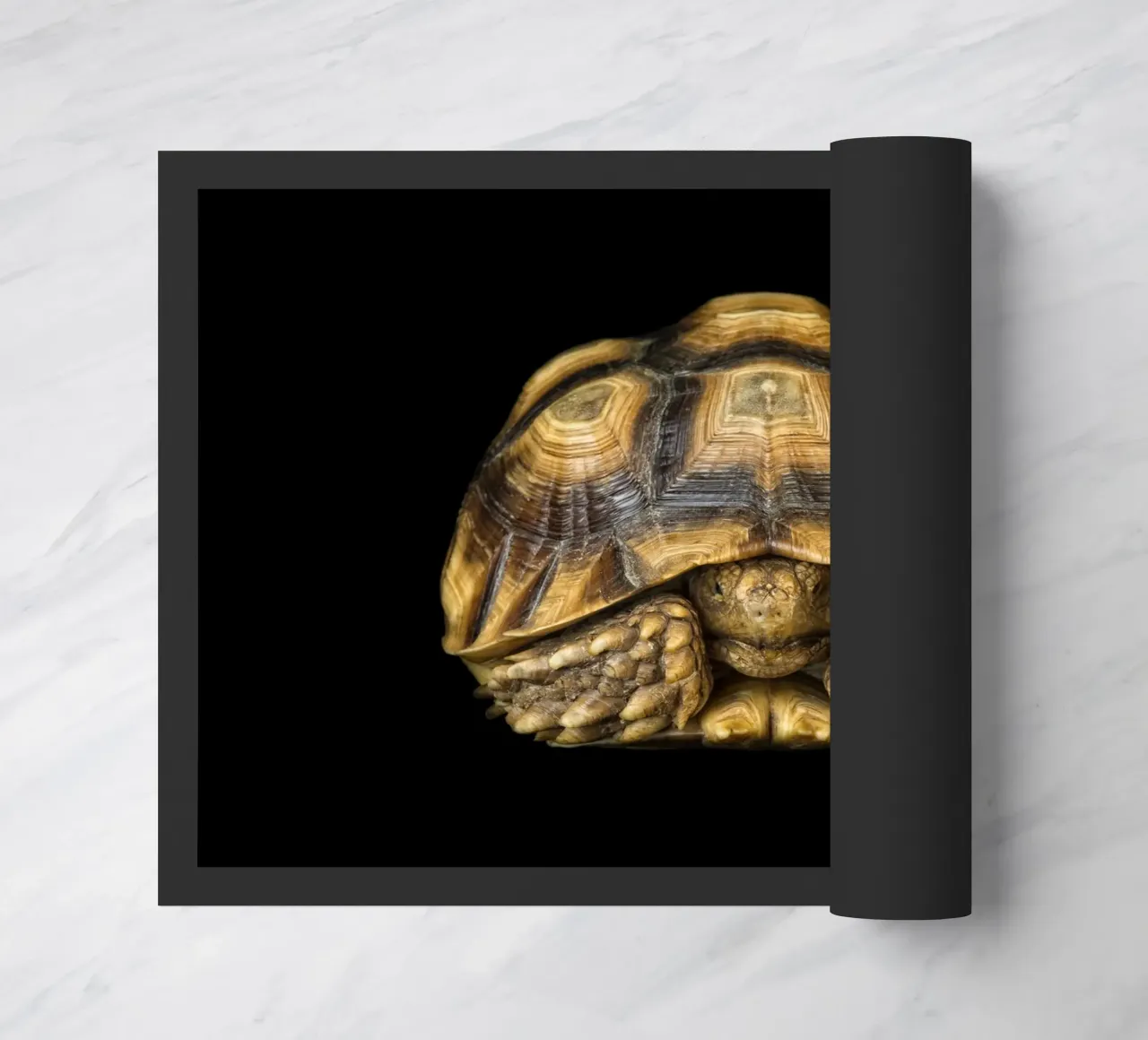 Tartaruga di terra zerbino da Curious Collections by Marielle Leenders