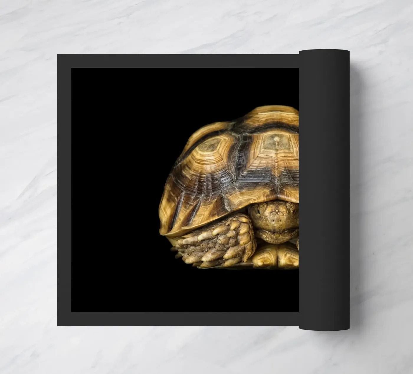 Landschildpad deurmat van Curious Collections by Marielle Leenders