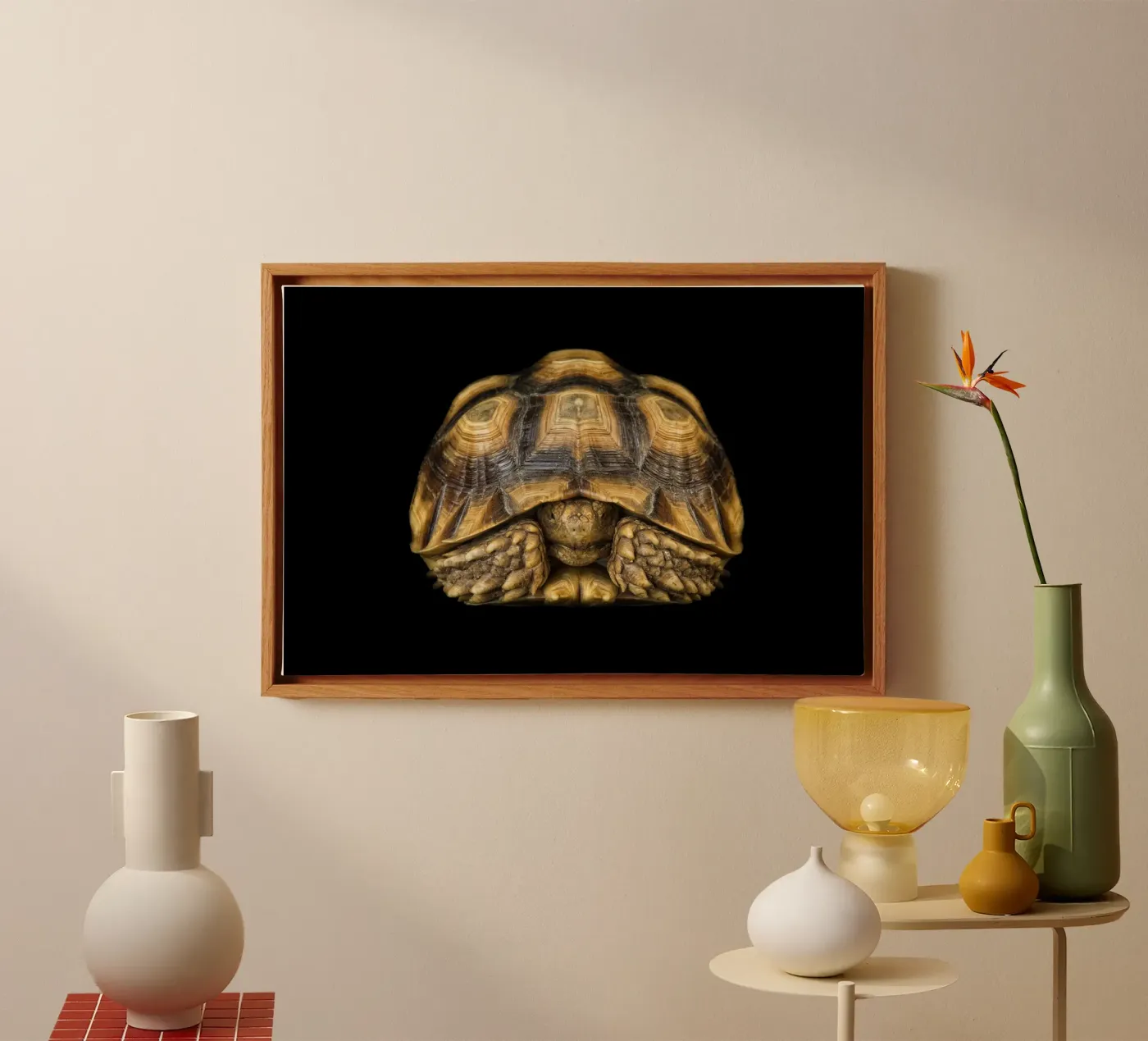 Land Turtle canvas by Curious Collections by Marielle Leenders