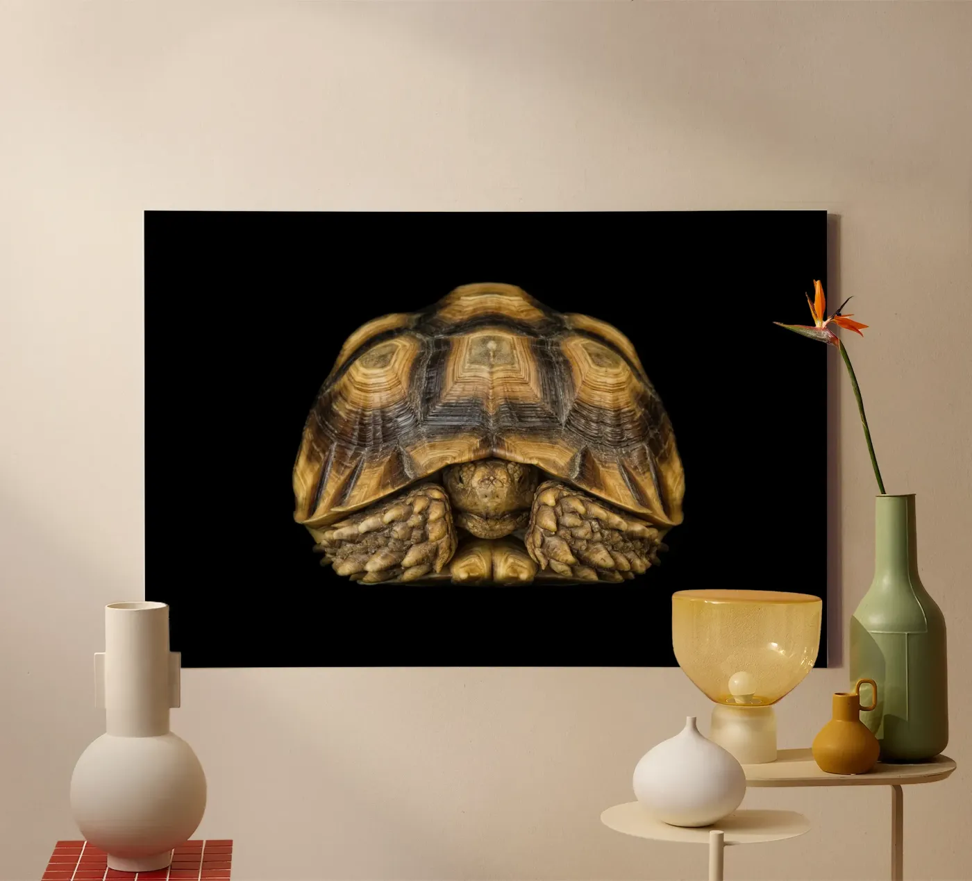Land Turtle canvas by Curious Collections by Marielle Leenders