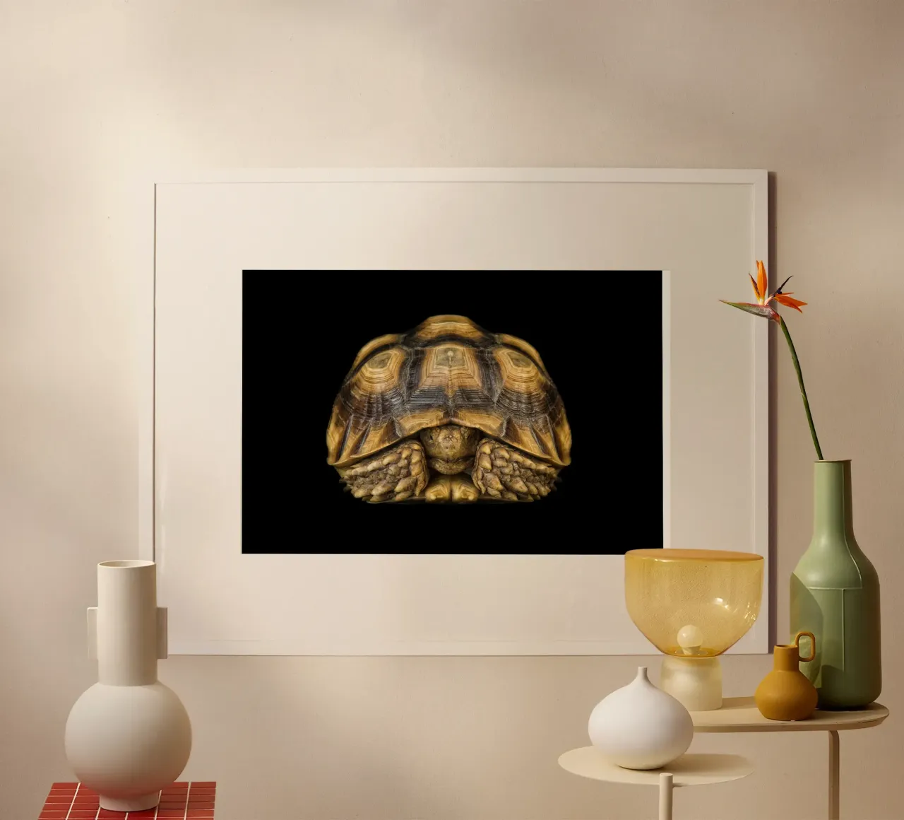 Land Turtle poster by Curious Collections by Marielle Leenders