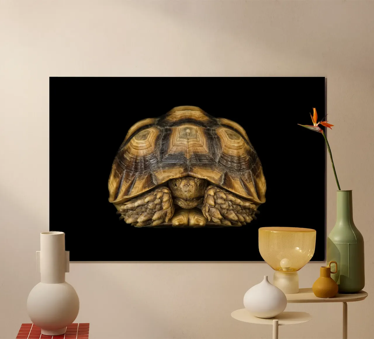 Land Turtle poster by Curious Collections by Marielle Leenders