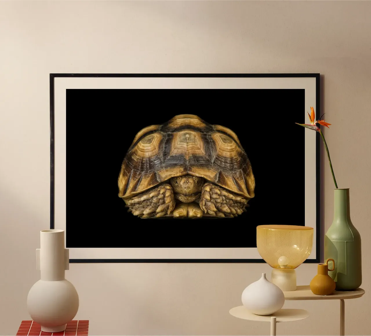 Land Turtle poster by Curious Collections by Marielle Leenders