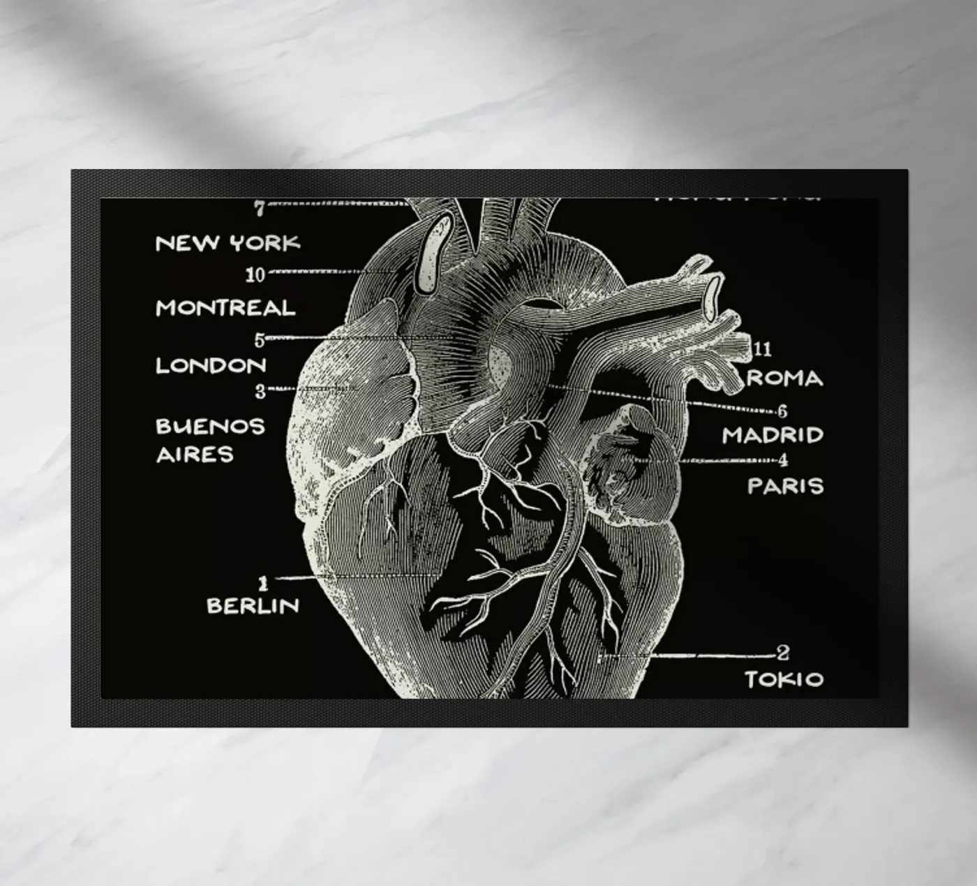 Nomad Heart zerbino da Tobe Fonseca