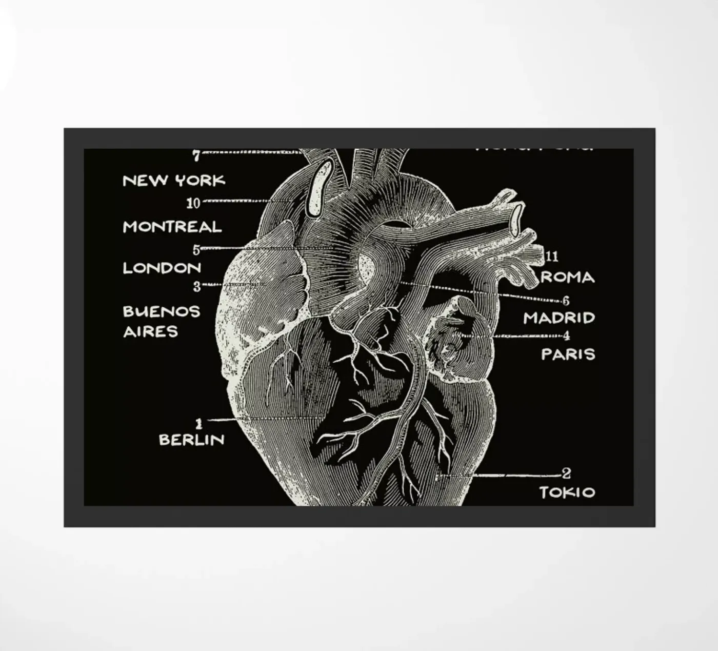 Nomad Heart zerbino da Tobe Fonseca
