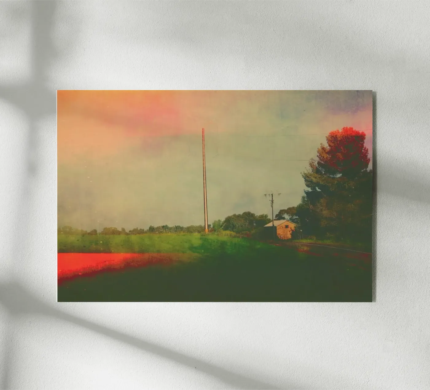 Bibaringa Acryl-Glas von Emma Zoe Brew