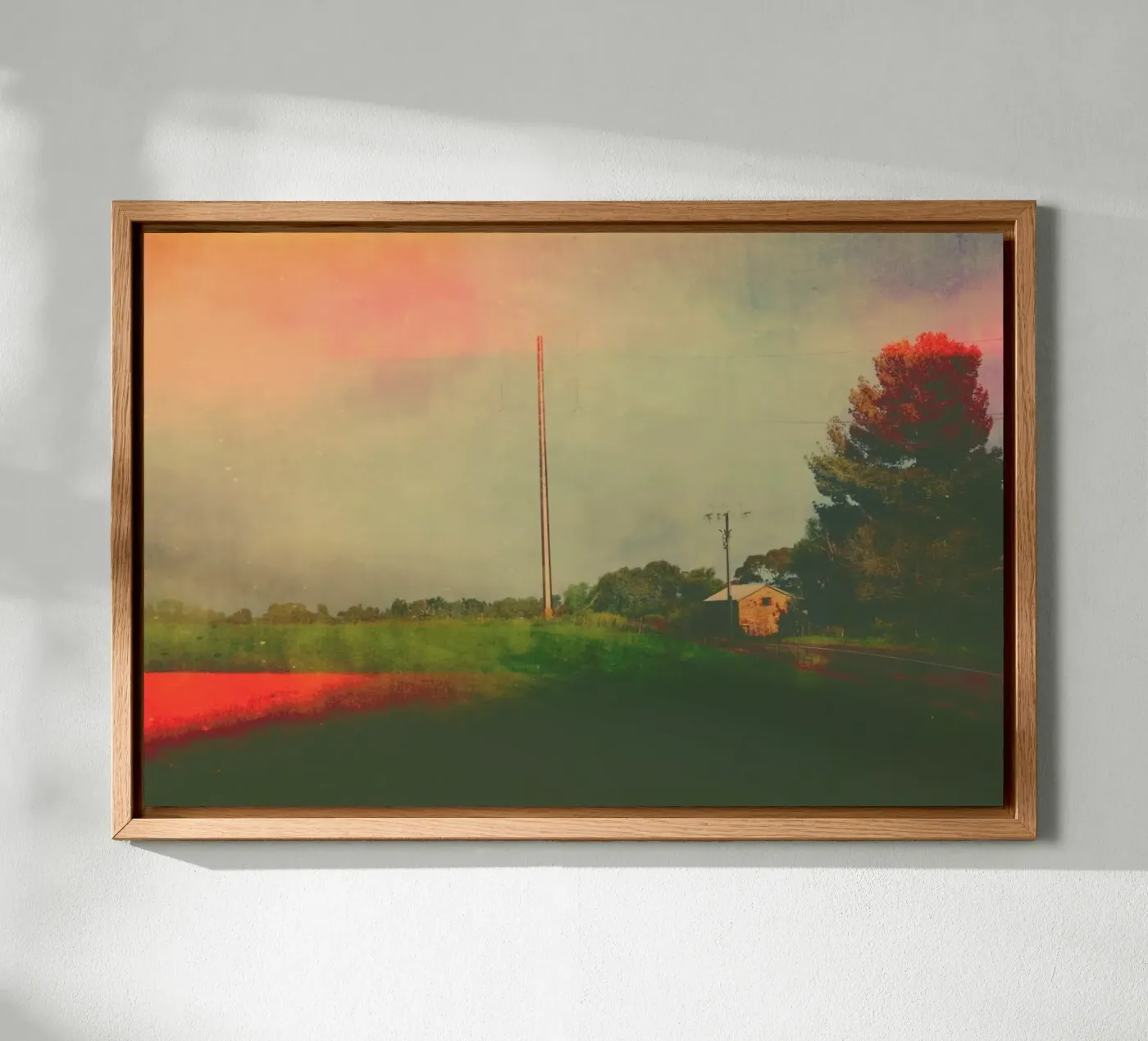 Bibaringa alluminio dibond da Emma Zoe Brew