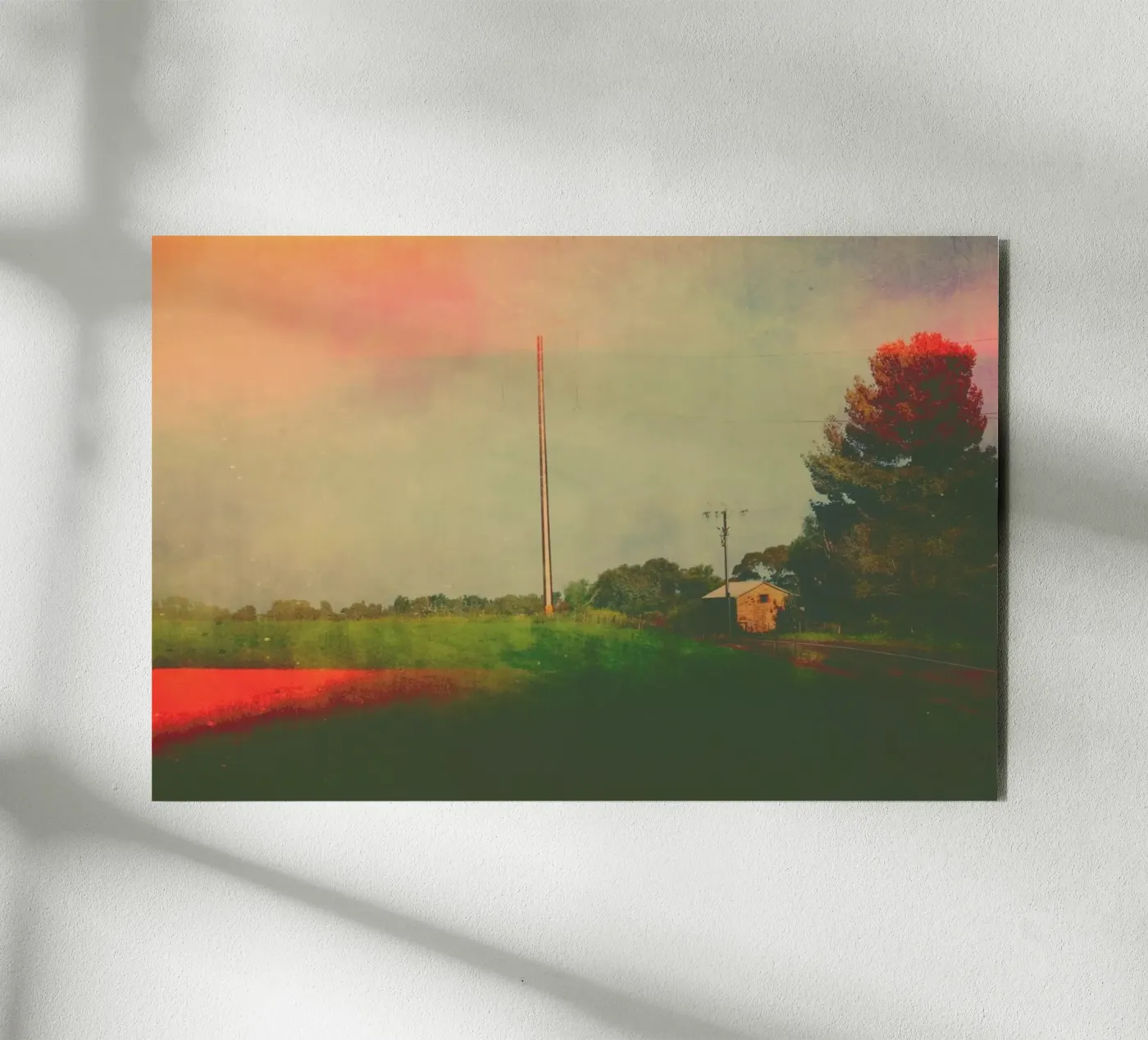 Bibaringa alluminio dibond da Emma Zoe Brew