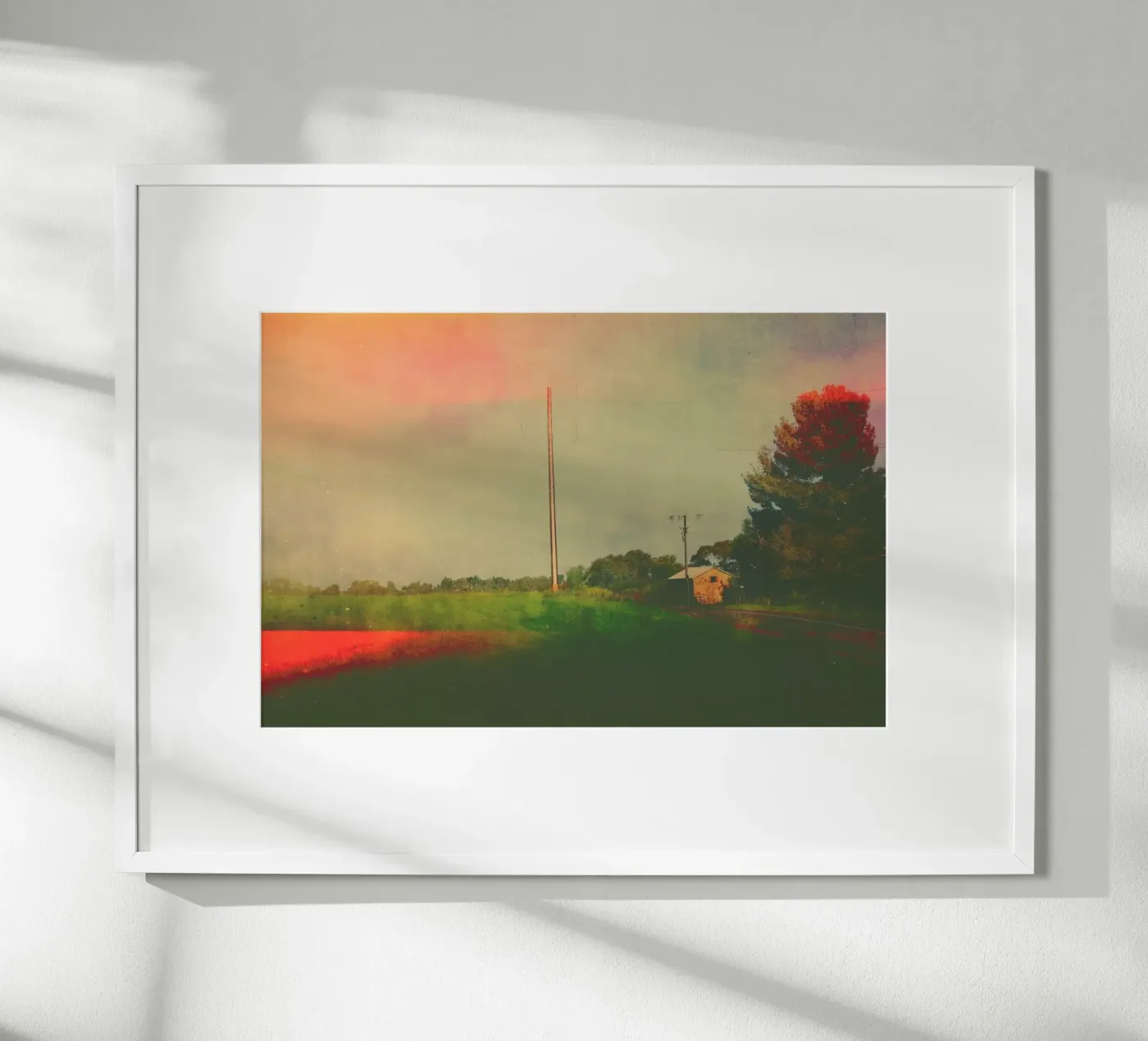 Bibaringa poster da Emma Zoe Brew