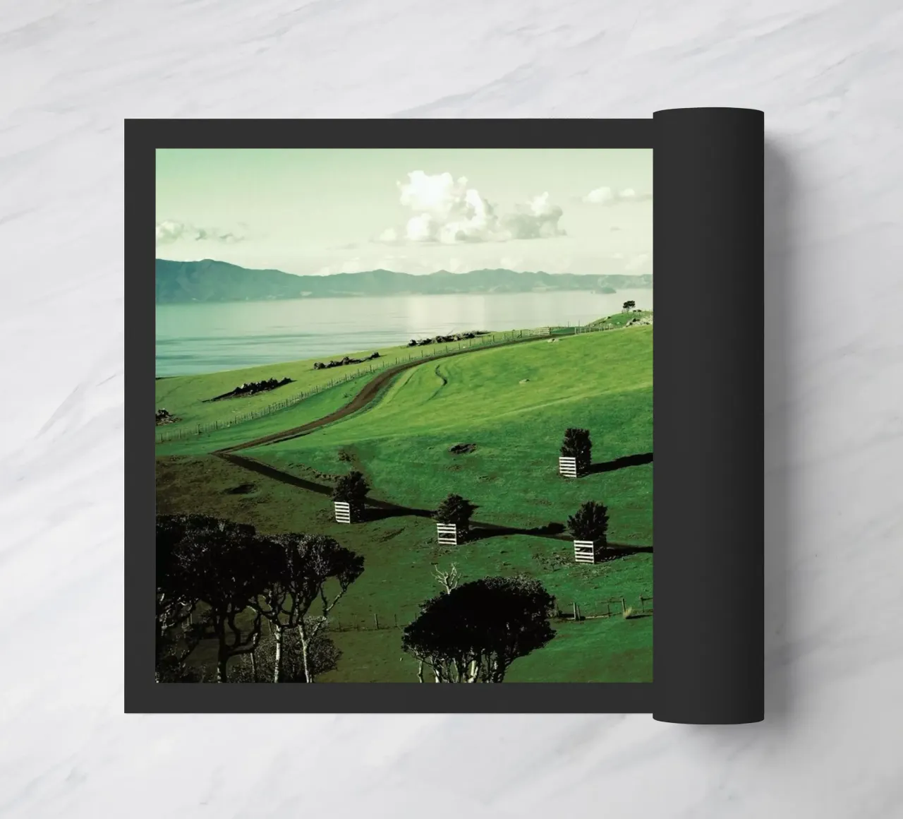 Waiheke Island zerbino da Emma Zoe Brew