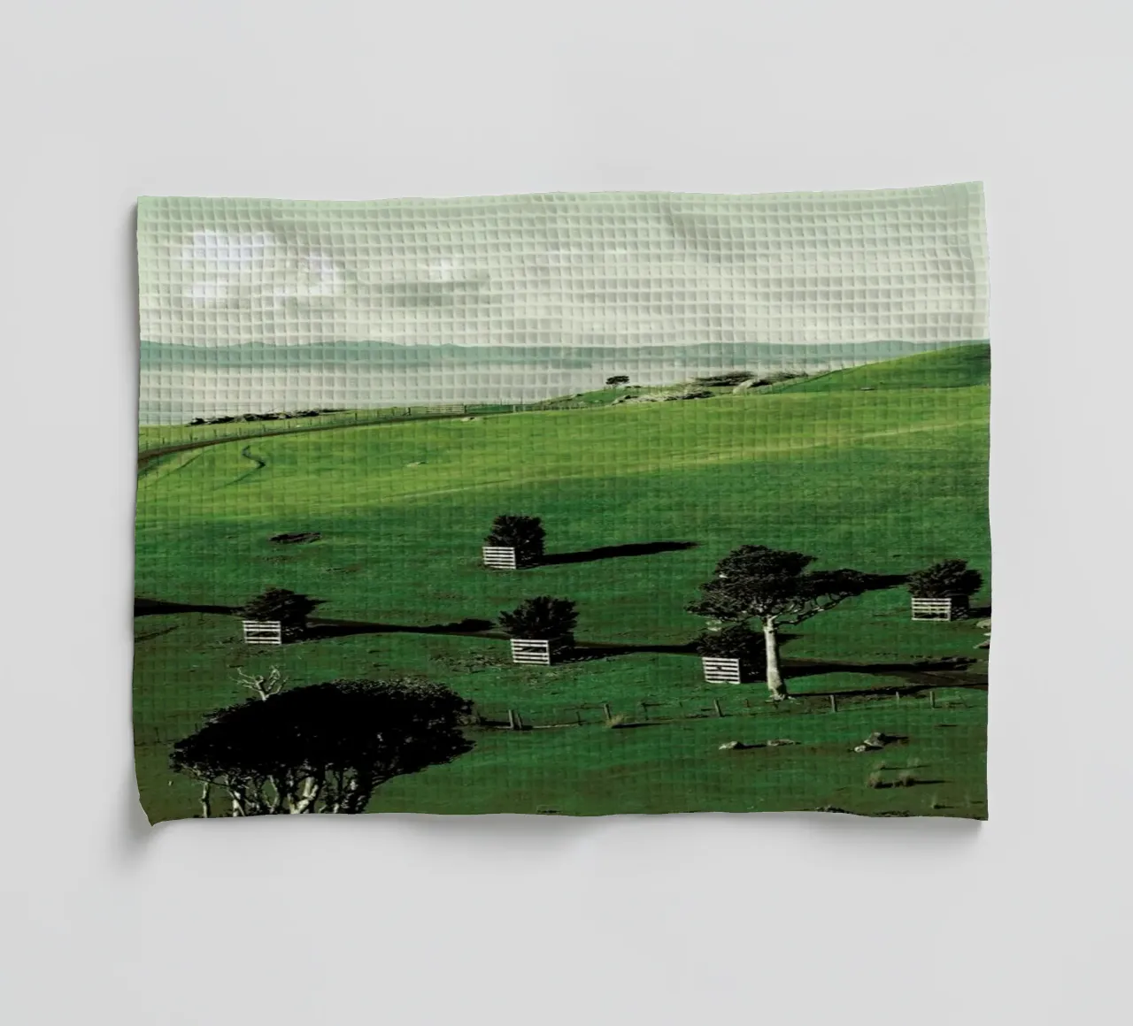 Waiheke Island tea towel by Emma Zoe Brew