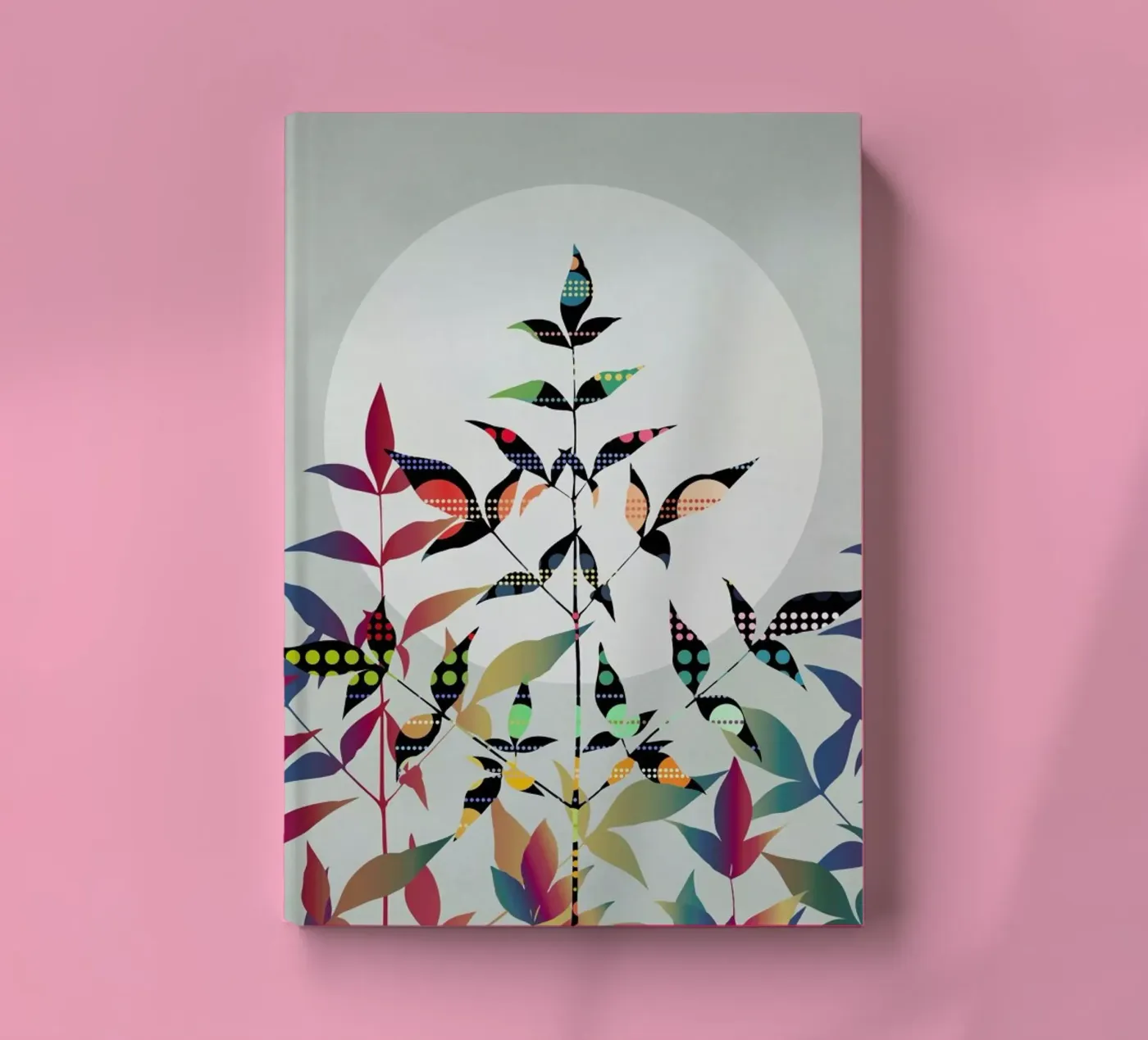 Flutter diario da Angelo Cerantola