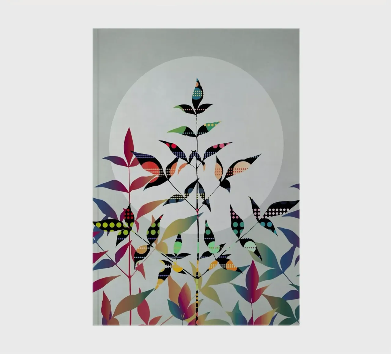 Flutter notebook by Angelo Cerantola