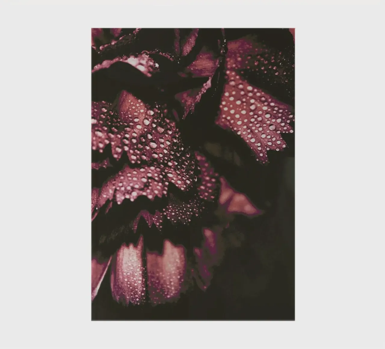 Red Wine notebook by Ingrid Beddoes