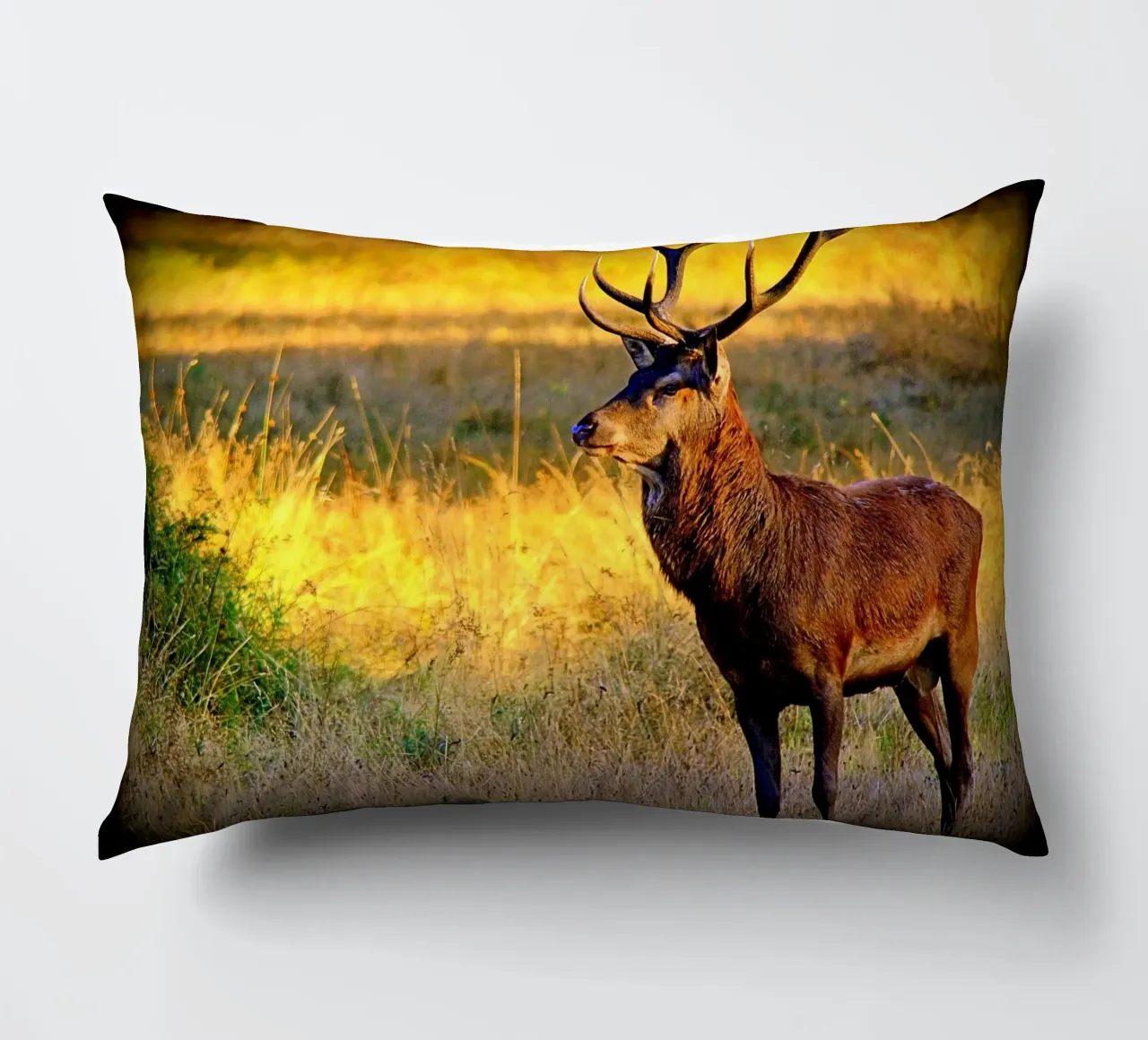 FAA84 decorative cushion by Thierry vobmann photography