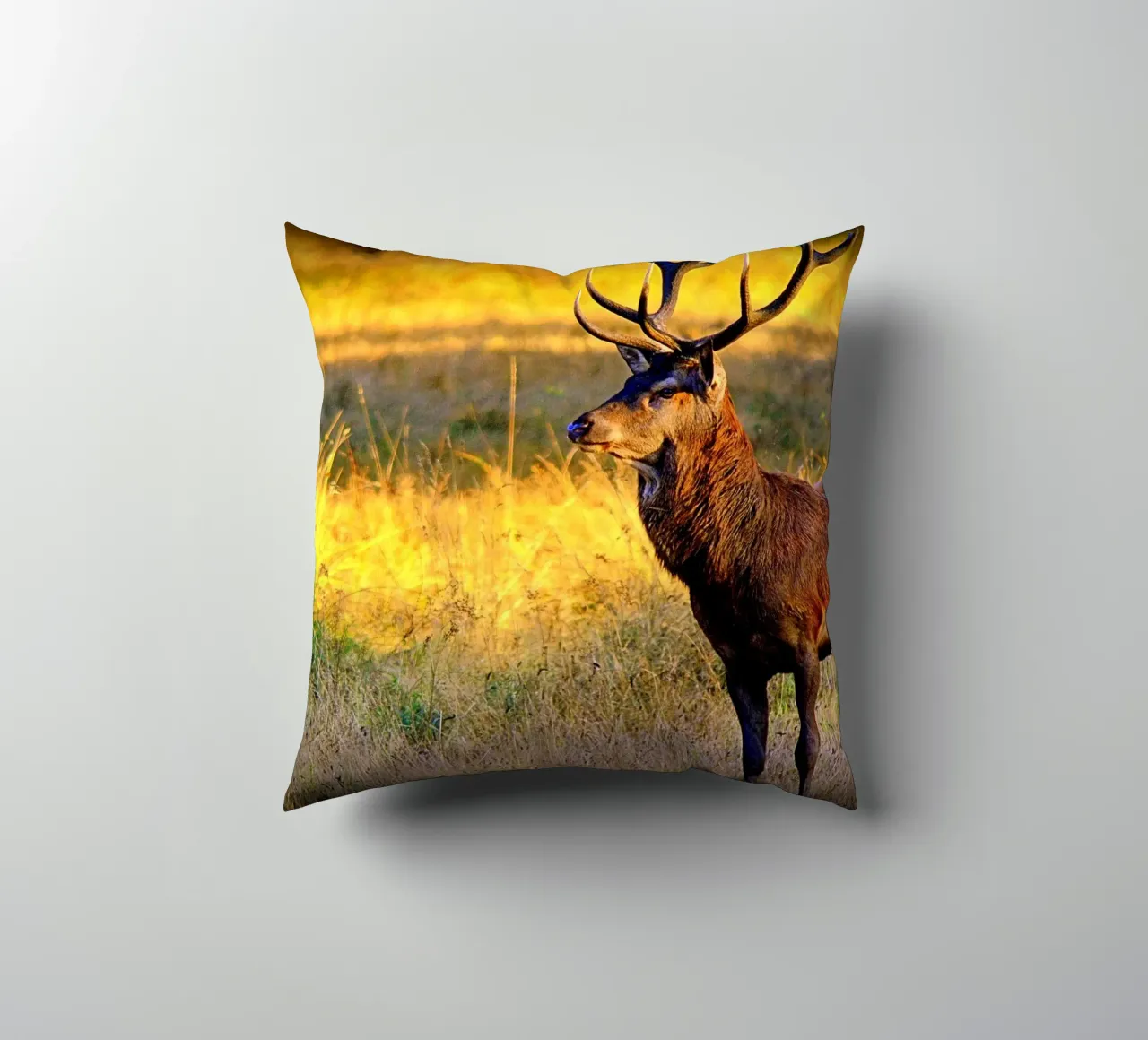 FAA84 decorative cushion by Thierry vobmann photography