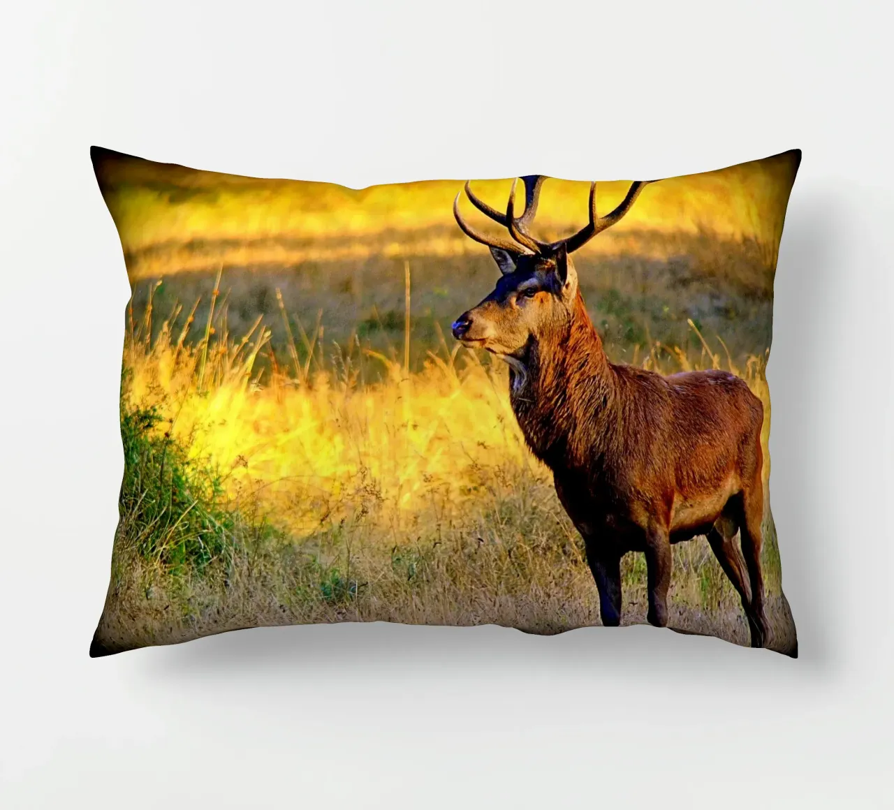 FAA84 decorative cushion by Thierry vobmann photography