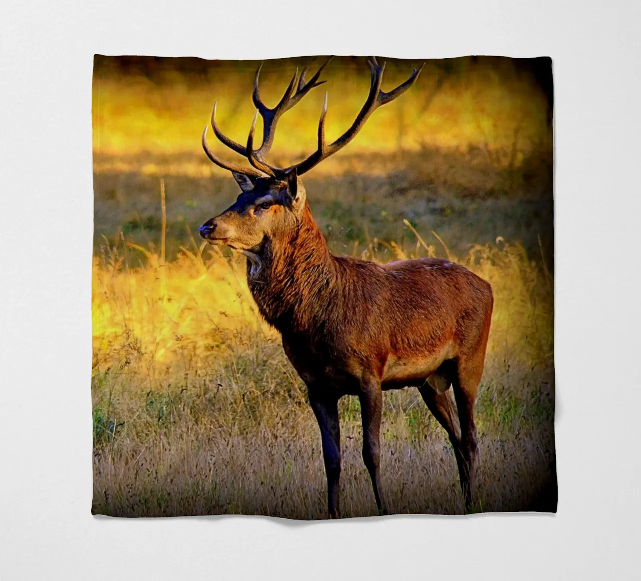 FAA84 fleece blanket by Thierry vobmann photography