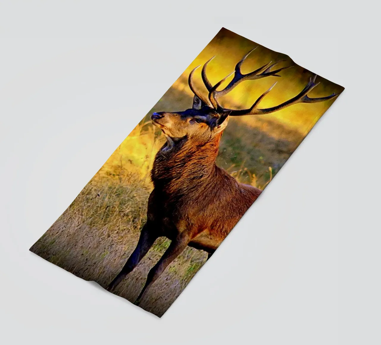 FAA84 telo mare da Thierry vobmann photography