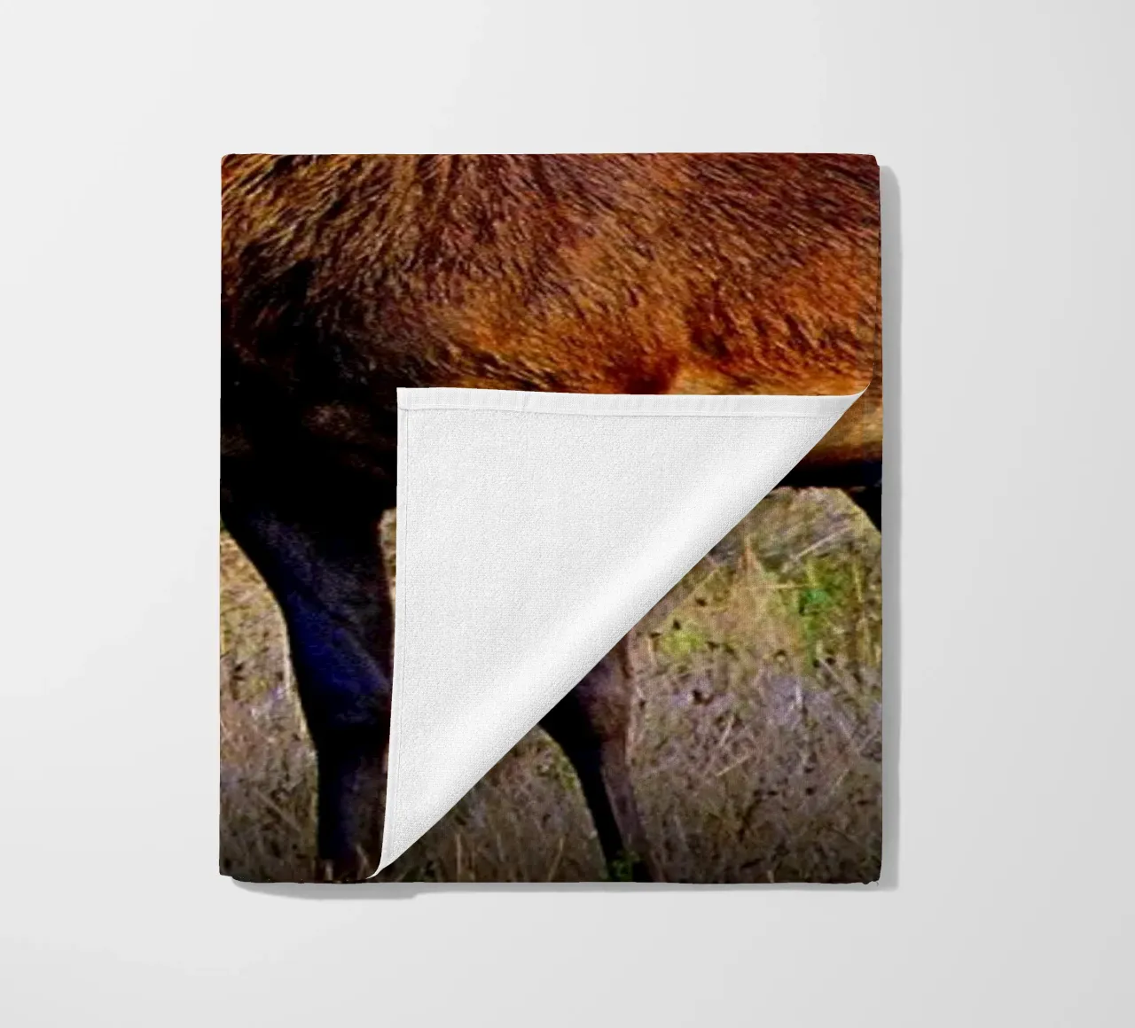 FAA84 telo mare da Thierry vobmann photography