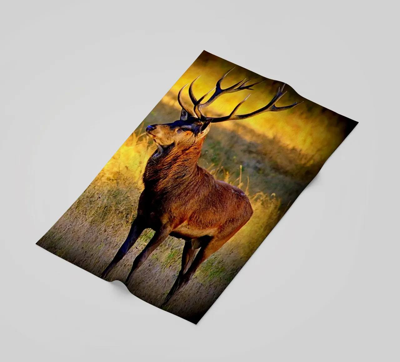 FAA84 telo mare da Thierry vobmann photography