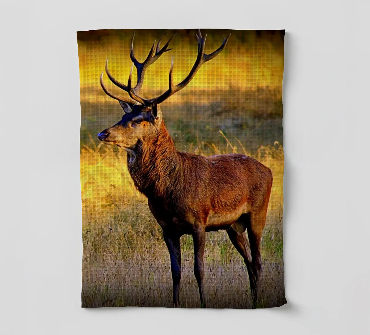 FAA84 tea towel by Thierry vobmann photography