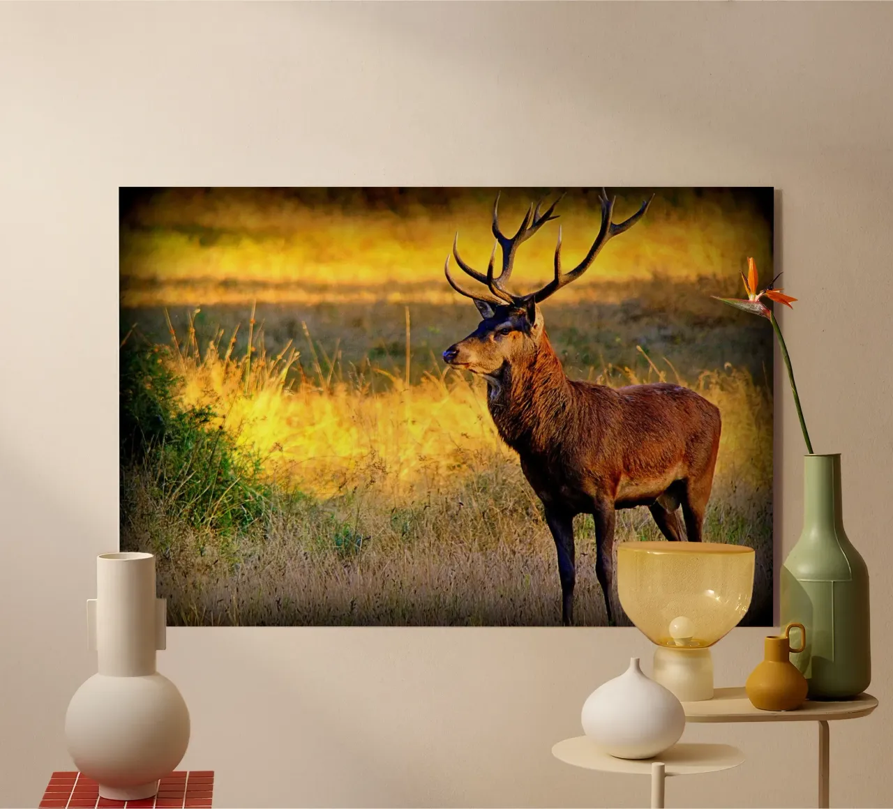 FAA84 plexiglass da Thierry vobmann photography