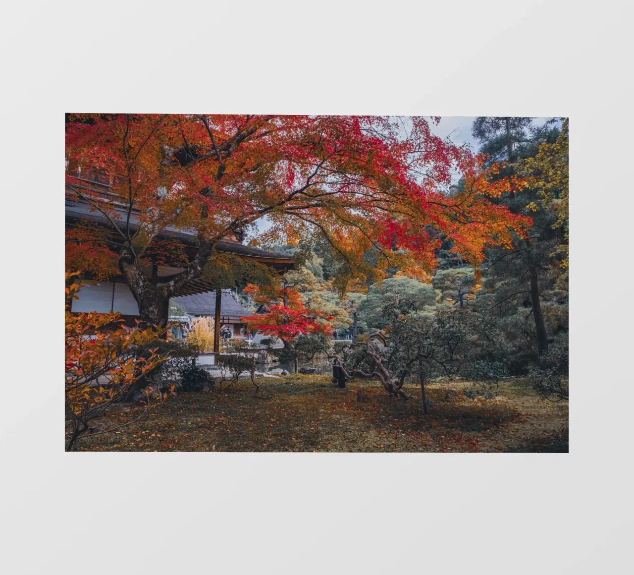 Autumn Temple in Kyoto, Japan pellicola backlit da Marcel Bisig